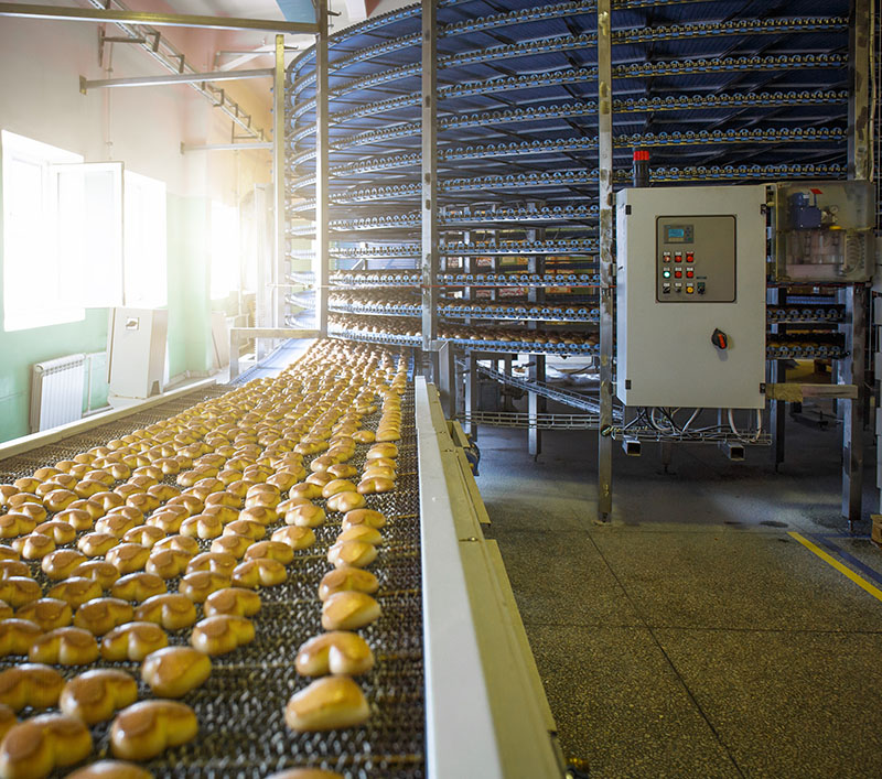 Automatic bakery production line with sweet cookies on conveyor belt equipment machinery in confectionary factory workshop, industrial food production.