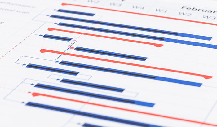 Project management and gantt chart