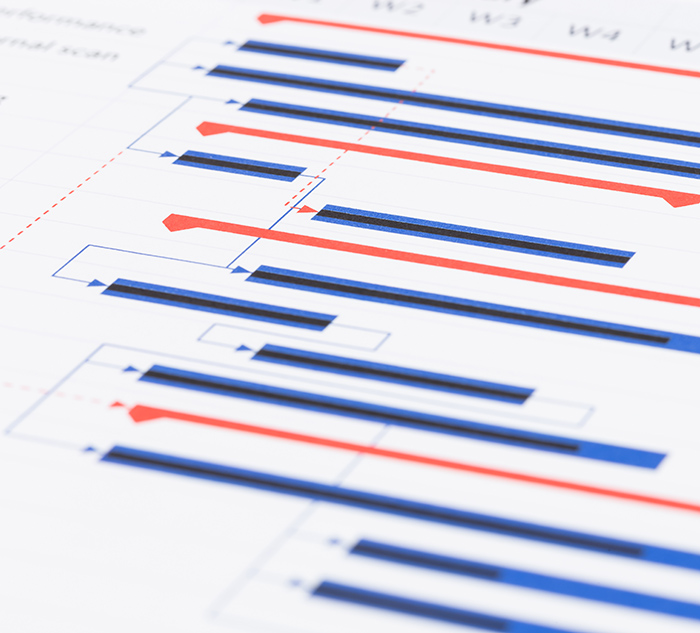 Project management and gantt chart