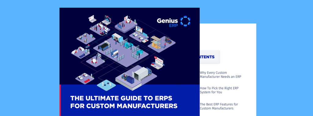 WHAT IS ERP THE ESSENTIAL GUIDE visual data 8