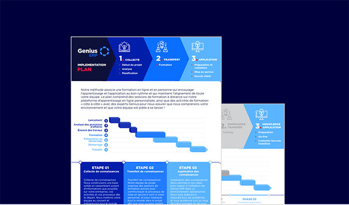 genius implementation process document