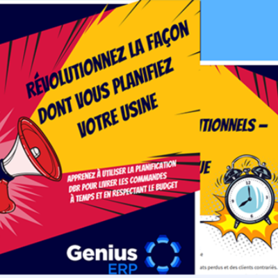 Genius erp planification ebook